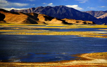 廣州到阿里物流專線,廣州到阿里貨運公司