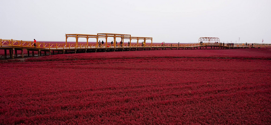 廣州到盤(pán)錦物流專(zhuān)線,廣州到盤(pán)錦貨運(yùn)公司