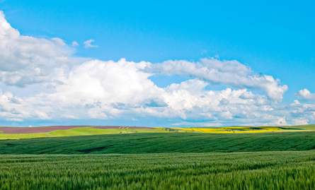 廣州到呼倫貝爾物流專(zhuān)線(xiàn),廣州到呼倫貝爾貨運(yùn)公司